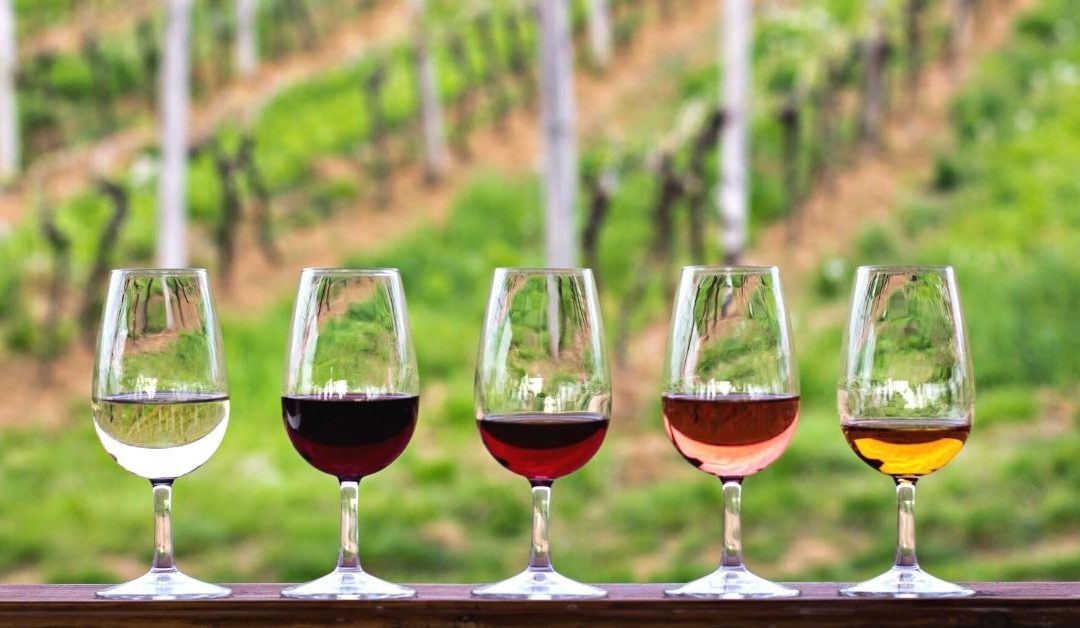 Don’t Miss these Wineries & Vineyards near Boone, NC