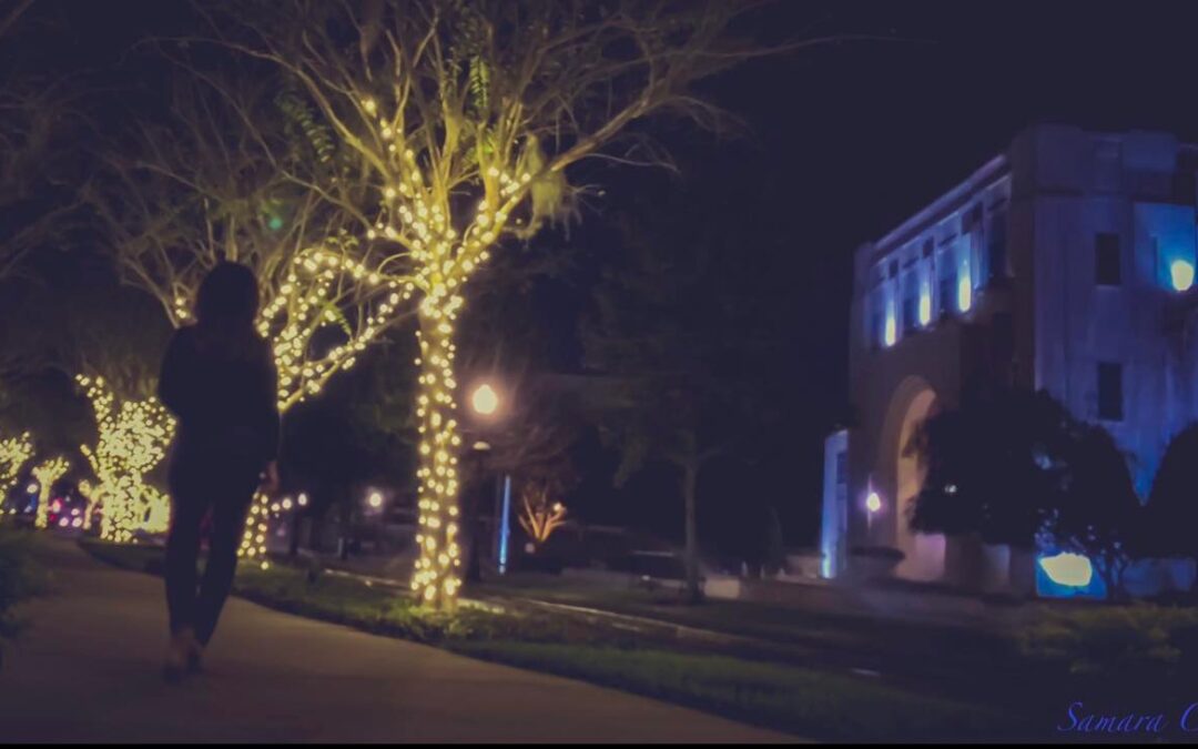 Festive First Friday and Solar Tree Lighting