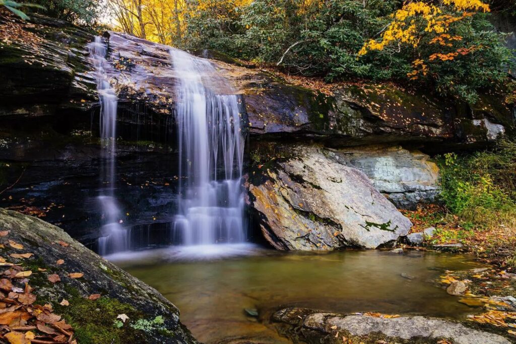 pet friendly hotels in boone nc